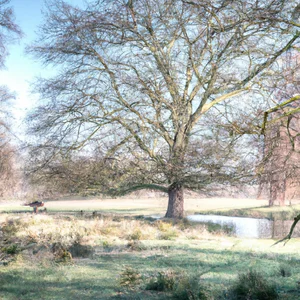 Bushy Park: deer, canals and royal history just a stone's throw from Hampton Court