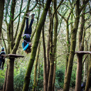 GoApe Battersea: adventure among the trees in the heart of London