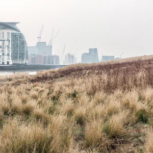 Parque Ecológico da Península de Greenwich: biodiversidade urbana com vista para o Tâmisa