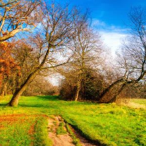 Stanmore Country Park: wilderness hikes on the outskirts of London